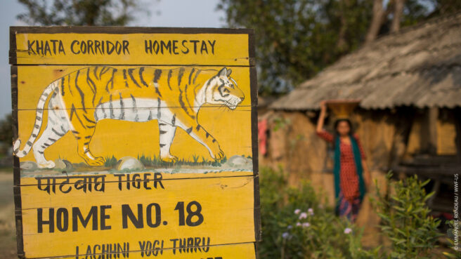 Gult skilt viser tiger som krysser veien