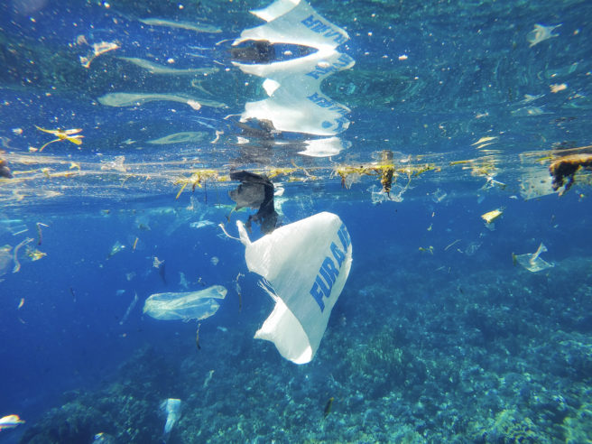 Bildet er tatt under vann og viser plastsøppel som flyter i vannskorpa.