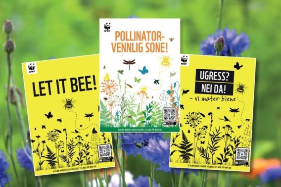 Tre plakater som forklarer at hagen ikke er rotete, men vill for pollinatorenes skyld.