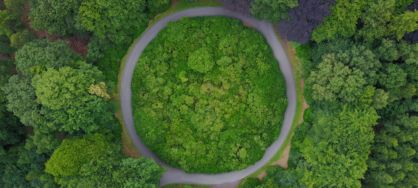 En skog sees ovenfra med en elv som går i sirkel.
