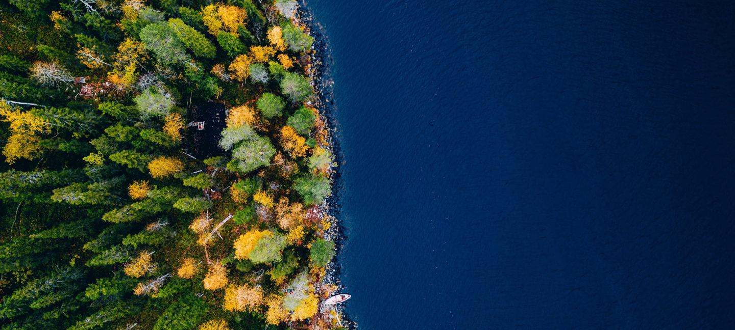 Areal shot where forest meets the sea. Photo: Ekatering Kondratova / Shutterstock