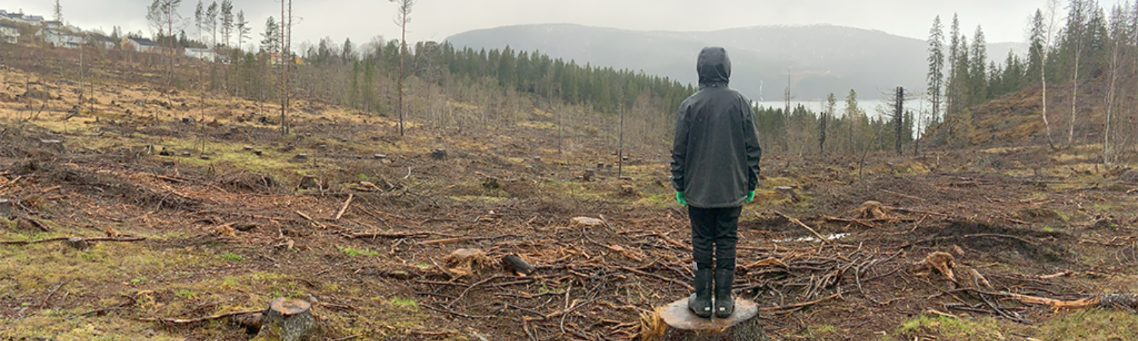 Person ser utover en stor og naken hogstflate.