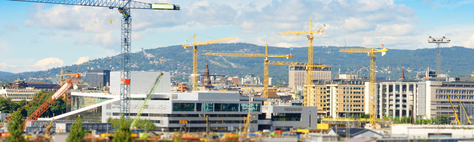 Bilde av Oslo. Trær i forgrunnen, bygninger og heisekraner midt i bildet og fjell i bakgrunnen. Himmelen er blå.