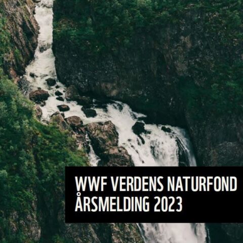 Forsiden på årsrapporten viser et bilde av en elv, med teksten WWFs årsmelding 2023.