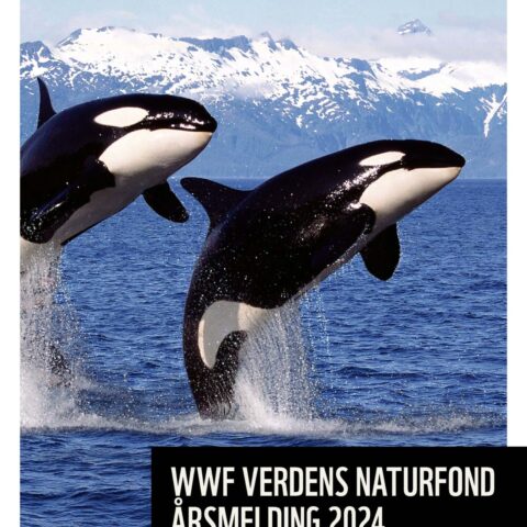 Forsiden av årsmeldingen viser to spekkhoggere som hopper i havet.