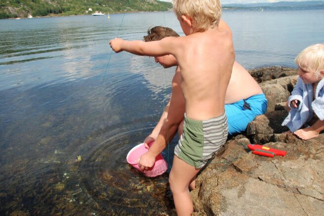 En mann holder en bøtte og hjelper en ung gutt å hale opp et krabbesnøre, mens et annet mindre barn sitter bak på svaberget og ser på.