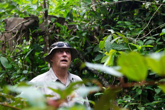 Kong Harald i Amazonas-jungelen