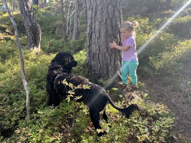 Ei lita jente i lilla skjorte og turkise bukser holder fast i et tre og leker med en svart hund som står i lyngen.