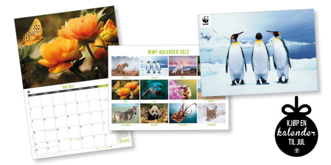 WWFs kalender.