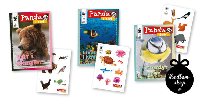 Innhold fra Pandaklubben: Tre ulike utgaver av Pandabladet, plakat og klistremerker, og den tegnede figuren Tiril som hilser barna velkommen