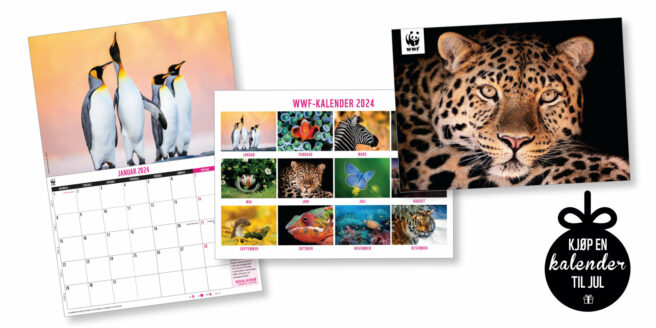 WWF-kalenderen