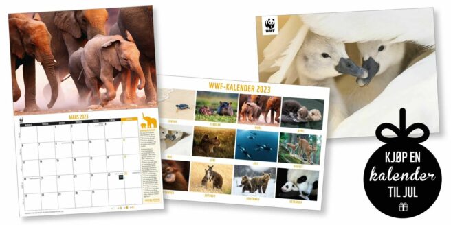 WWF-kalenderen