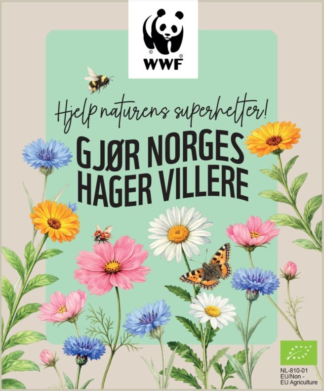 Bilde av frøpakken.