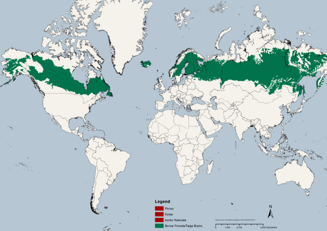 Et kart som viser områdene boreal barskog strekker seg over, fra Skandinavia og øst gjennom Russland, samt gjennom de nordlige delene av Nord-Amerika.