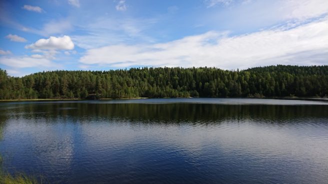 Vann i Østmarka med skogen bak