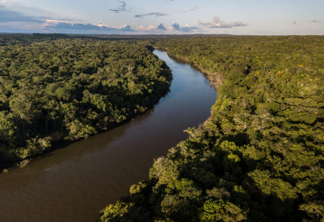 Luftfoto av Amazonas-skogen og den røde elven som snor seg gjennom trærne.