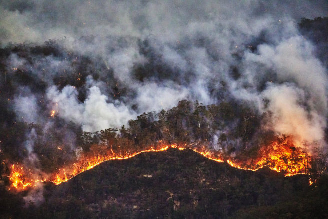 Brannen i Australia sees ovenfra, med røyk og en brannfront som brer seg mot urørt skog.