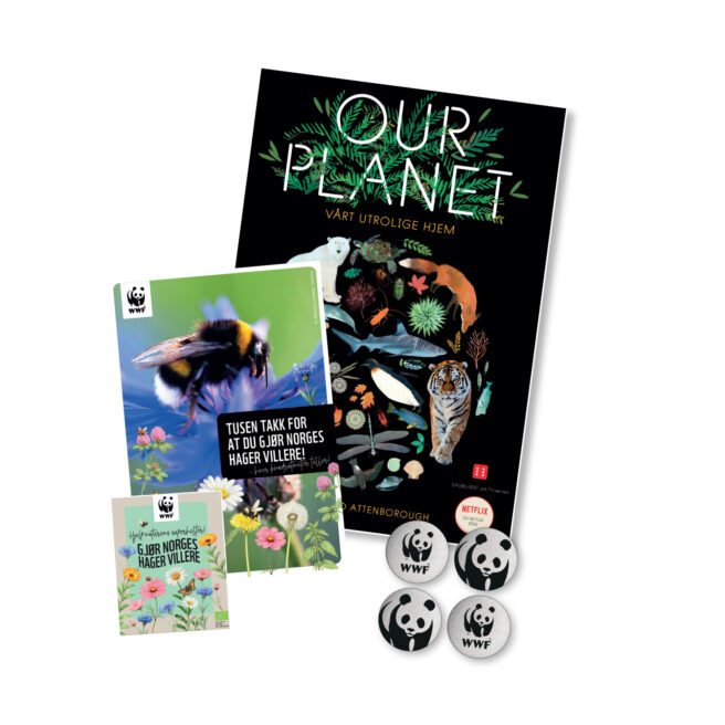 Bilde av Our planet bok, refleks, frø og guide