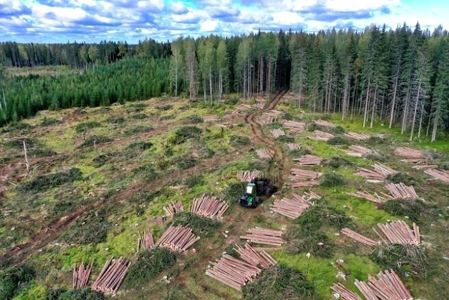 Inngrep i norsk natur - en grusvei gjennom landskapet, med tømmer og plastrør liggende i hauger på siden.