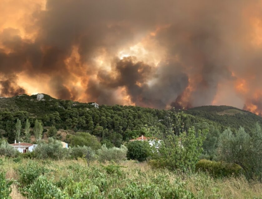 ©️ WWF Hellas Brann i Hellas