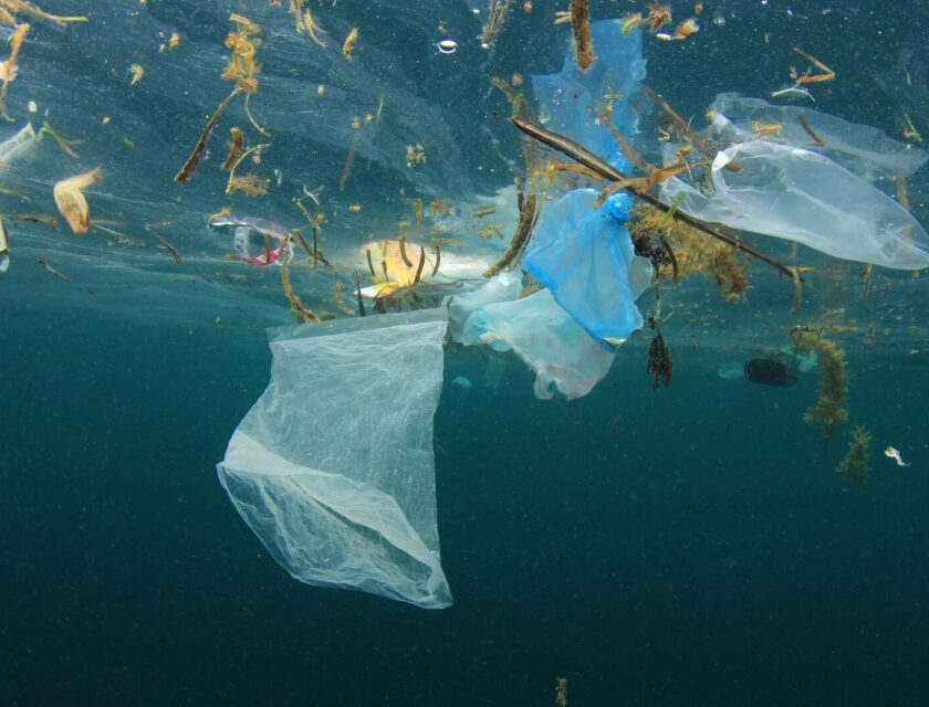 Plast som flyter i havet